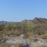 Baja2011 494 : Baja2011